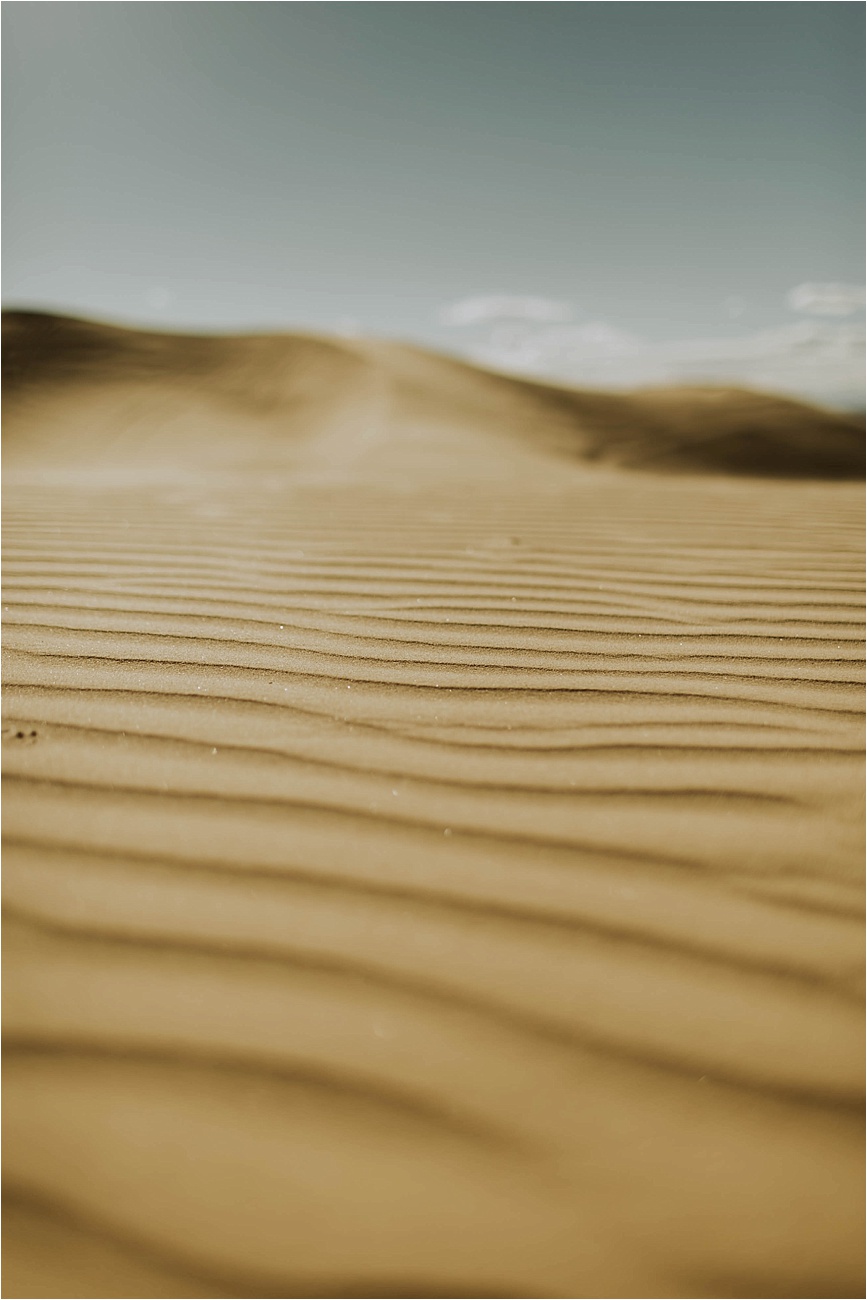 Imperial Sand Dune Engagement | www.alexandriamonette.com