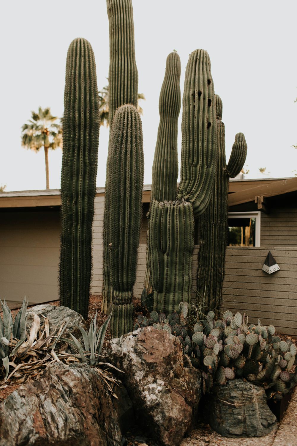 Scottsdale Arizona Photographer | https://alexandriamonette.com