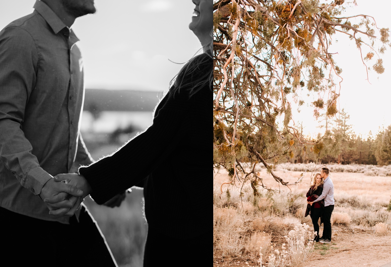 couples portraits in big bear